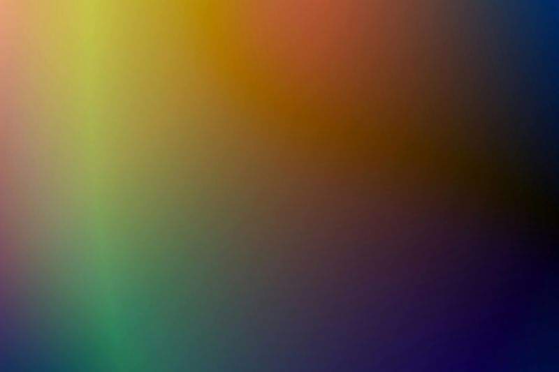 GrünOase Gartenservice - Image 3